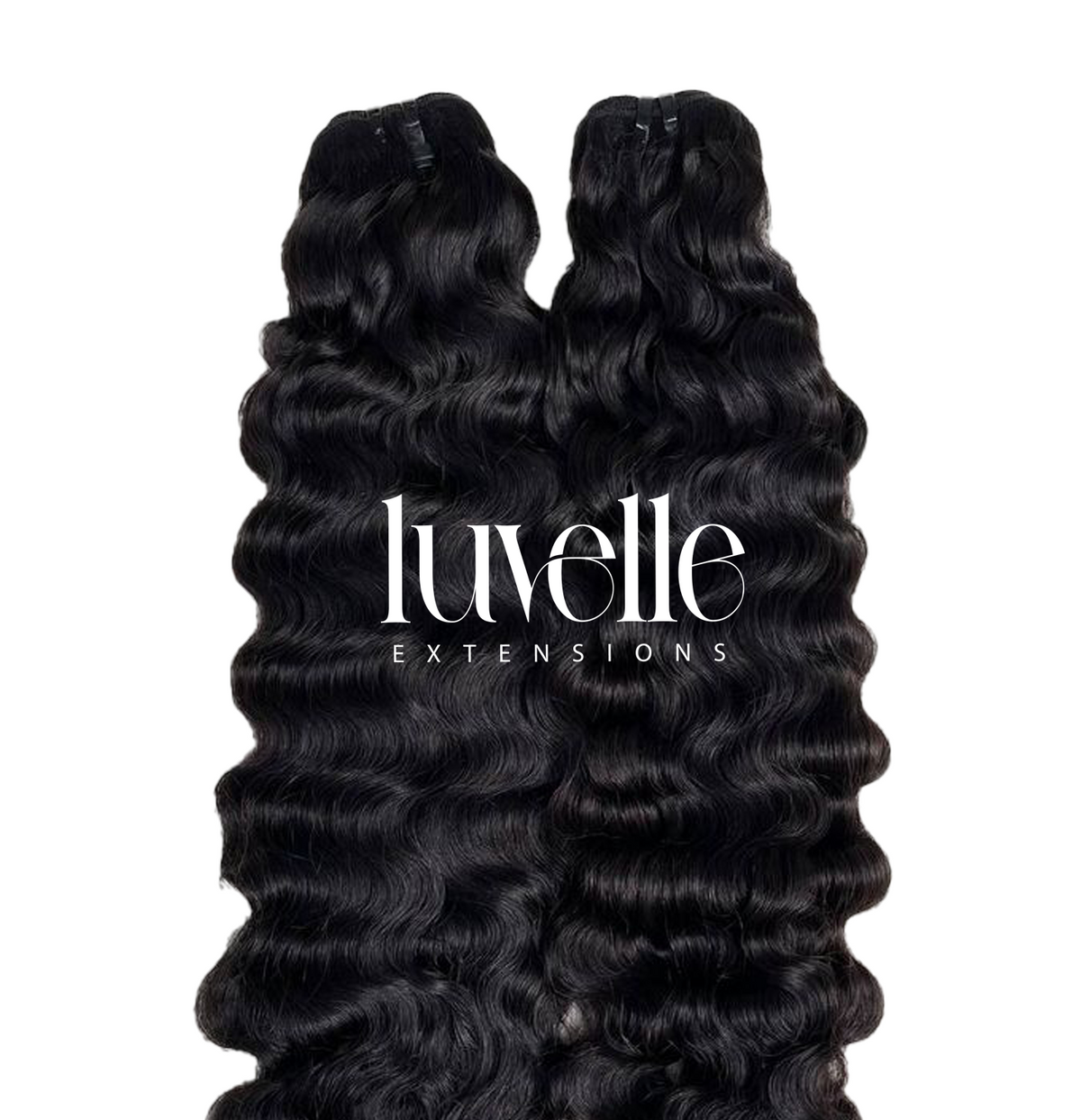 Burmese Curly Single Donor Bundle